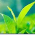 Ikaria juice dietary supplement
