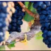 Ikaria juice dietary supplement